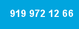 919 972 12 66